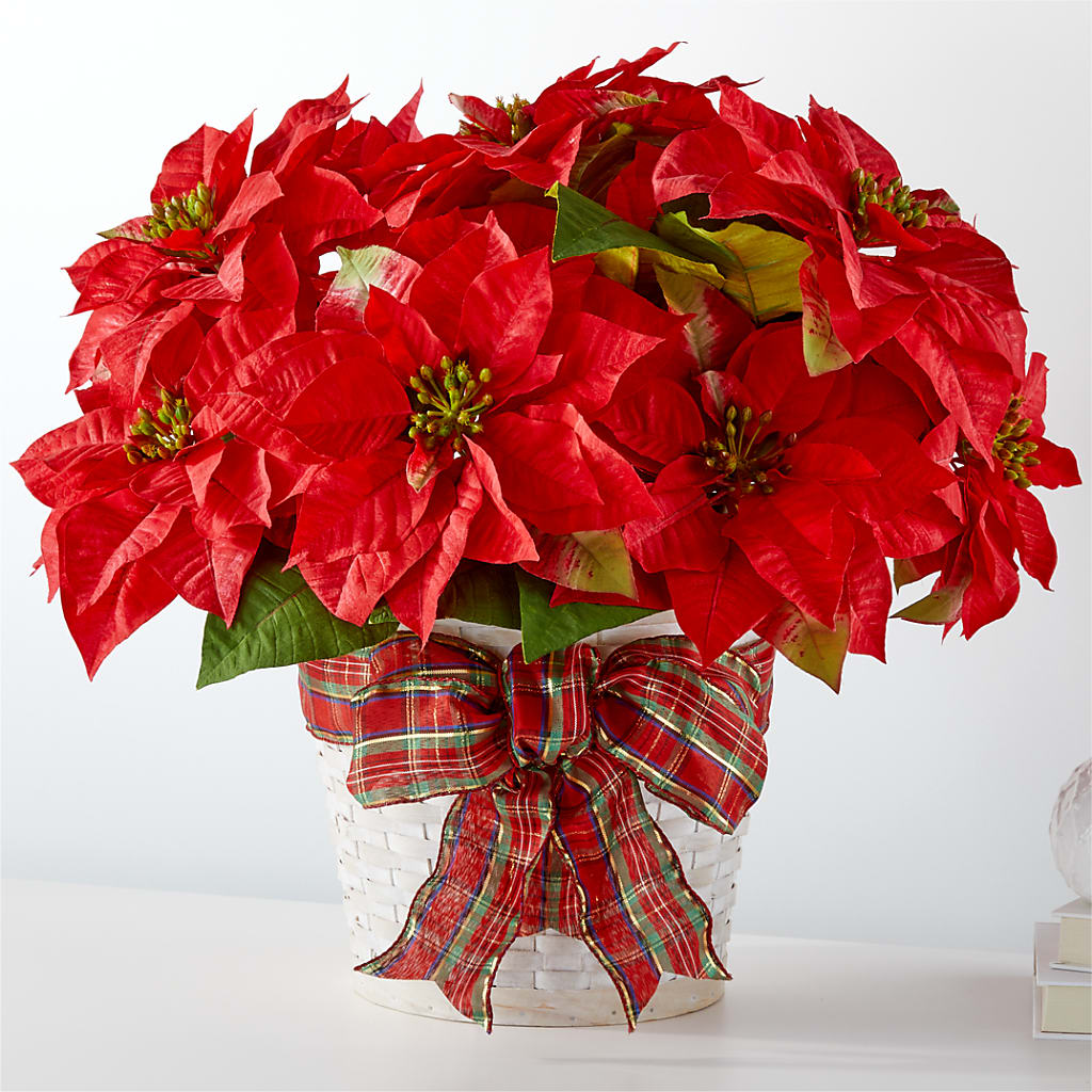 Happiest Holidays Poinsettia – Joyce Florist Of Dallas Inc, Dallas TX
