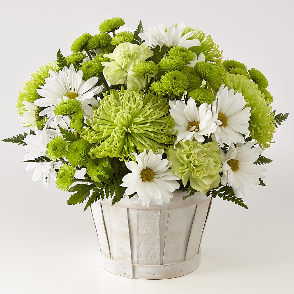 Lucky Charm Basket (Standard) – Joyce Florist Of Dallas Inc, Dallas TX