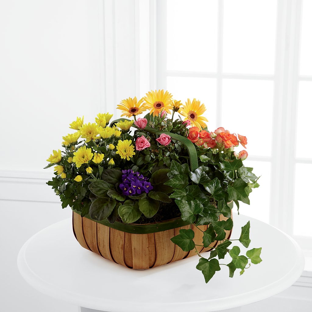 Gentle Blossoms Basket – Joyce Florist Of Dallas Inc, Dallas TX