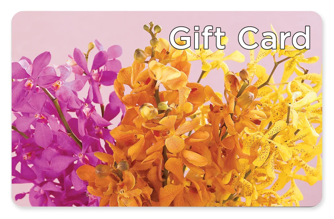 Gift Card – Joyce Florist Of Dallas Inc, Dallas TX