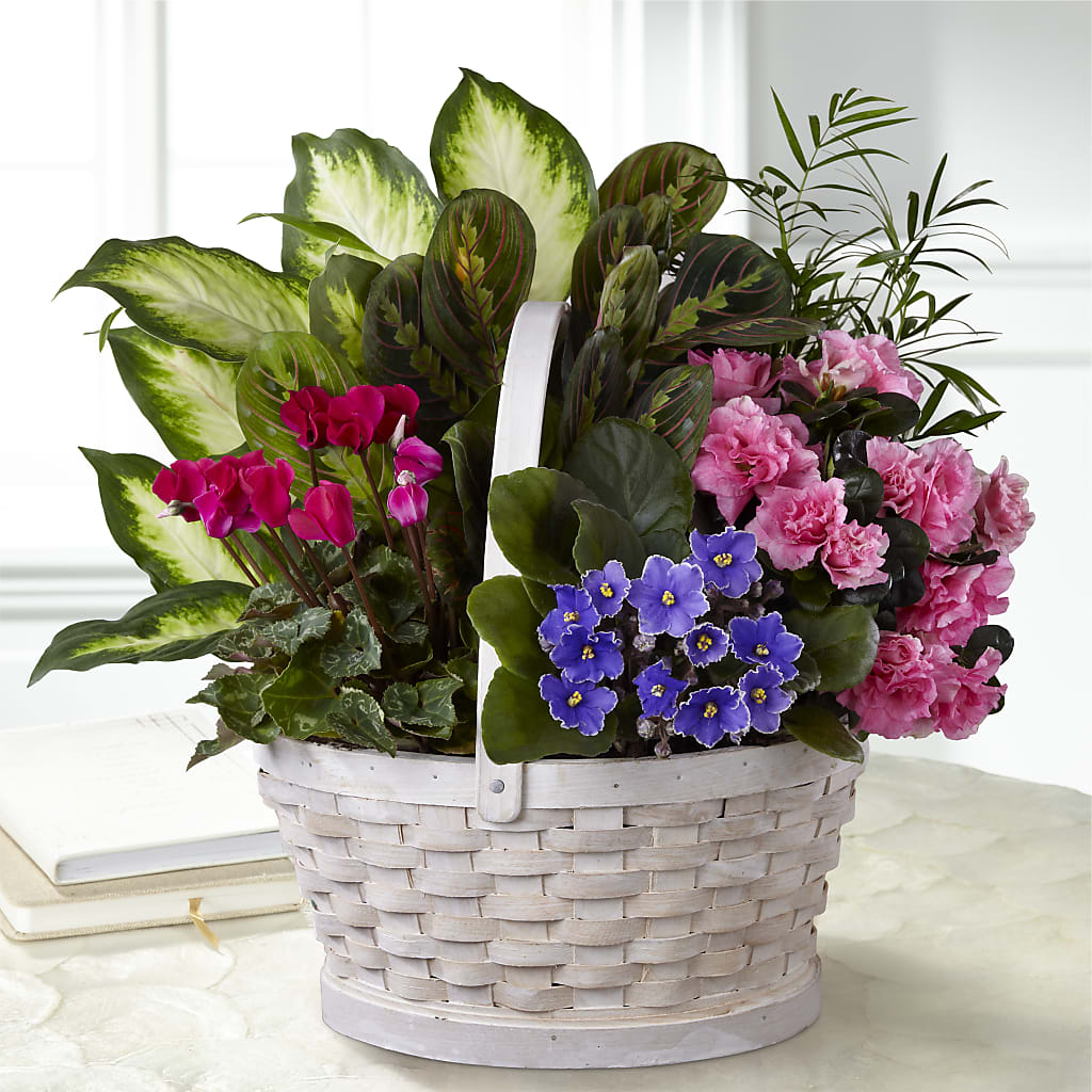 Peaceful Garden Planter – Joyce Florist Of Dallas Inc, Dallas TX