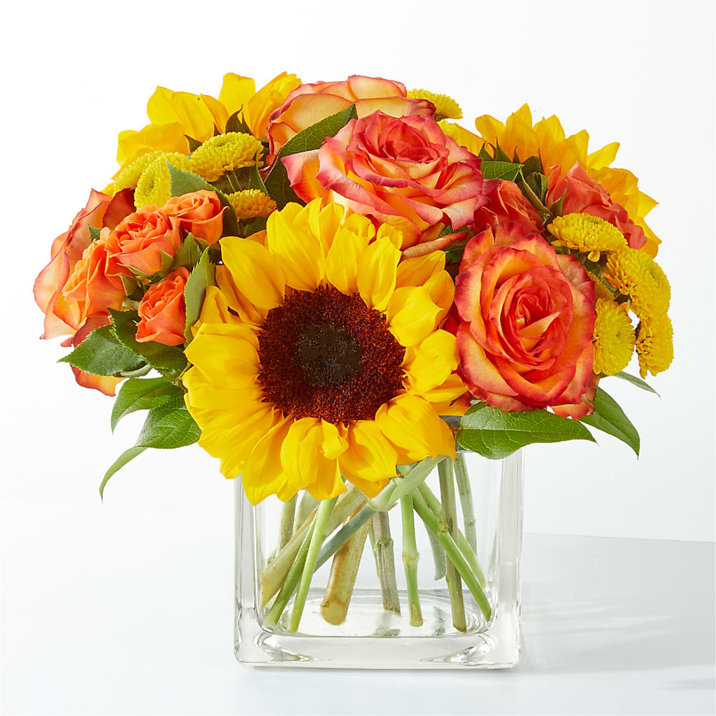 Picnic in the Park Bouquet – Joyce Florist Of Dallas Inc, Dallas TX