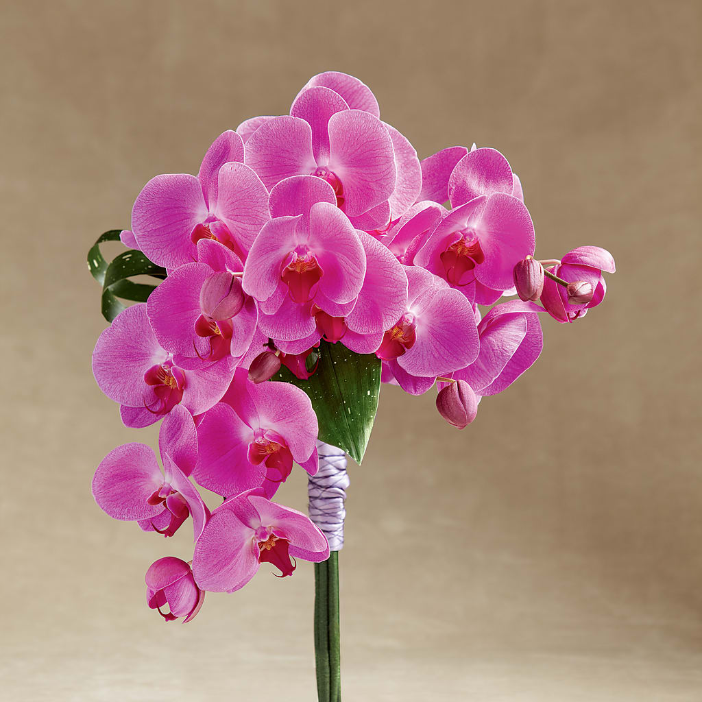 Glorious Bouquet – Joyce Florist Of Dallas Inc, Dallas TX