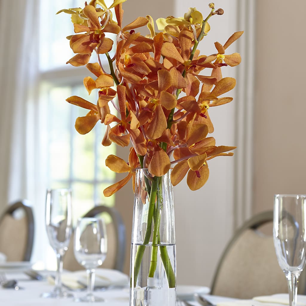 Orange Mokara Bud Vase – Joyce Florist Of Dallas Inc, Dallas TX