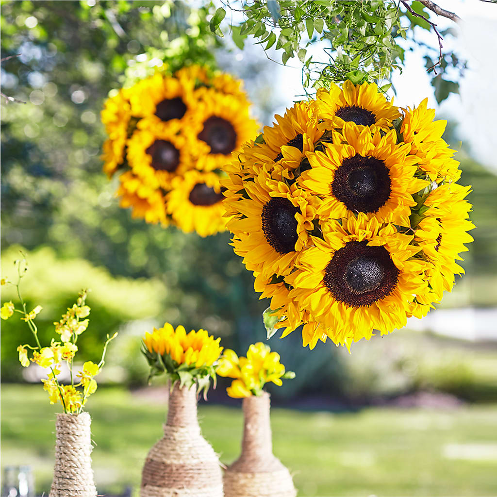 Sublime Garden Hanging Arrangement – Joyce Florist Of Dallas Inc, Dallas TX
