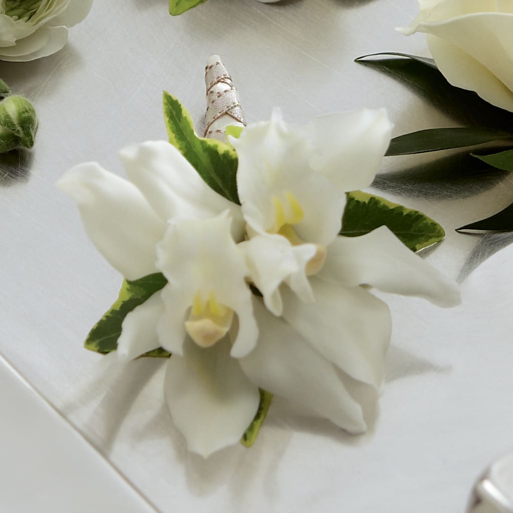 White Mini Cymbidium Boutonniere – Joyce Florist Of Dallas Inc, Dallas TX