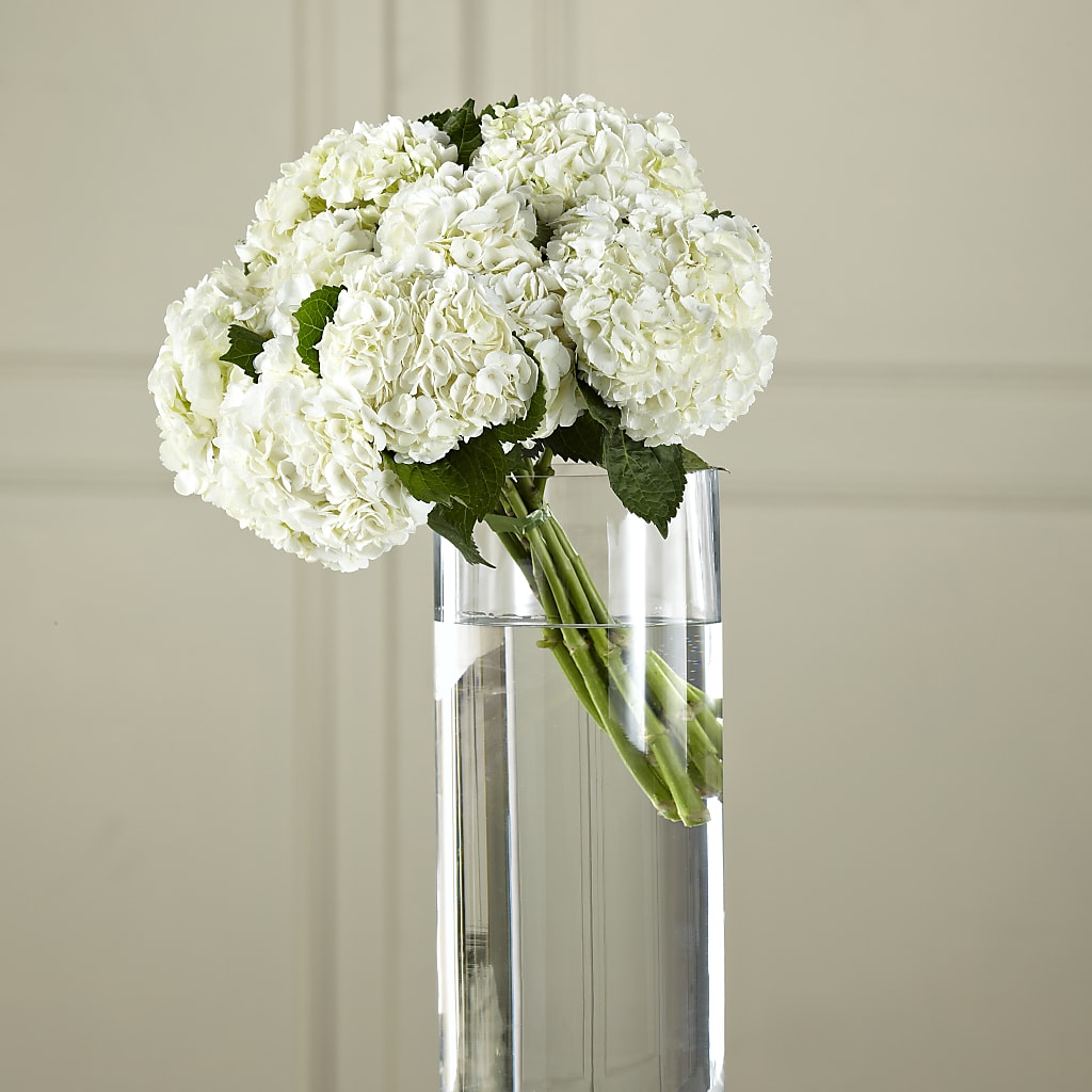 White Hydrangea Hand-Tied Bouquet – Joyce Florist Of Dallas Inc, Dallas TX