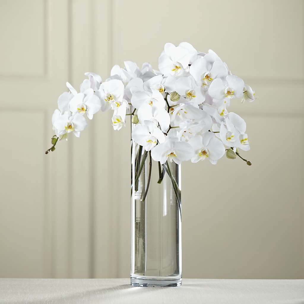 White Phalaenopsis Bouquet – Joyce Florist Of Dallas Inc, Dallas TX