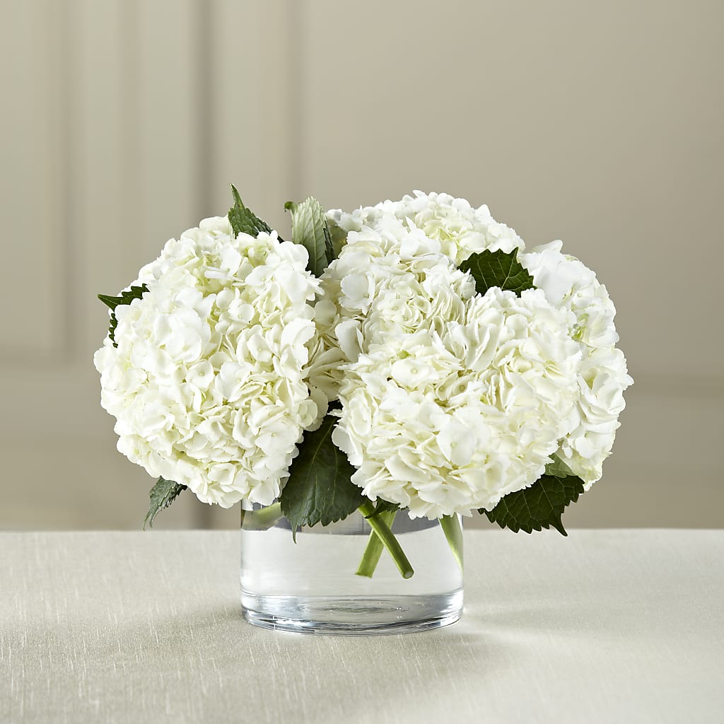 White Hydrangea Bouquet – Joyce Florist Of Dallas Inc, Dallas TX