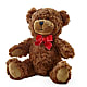Adorable Plush Bear –  Joyce Florist Of Dallas Inc, Dallas TX