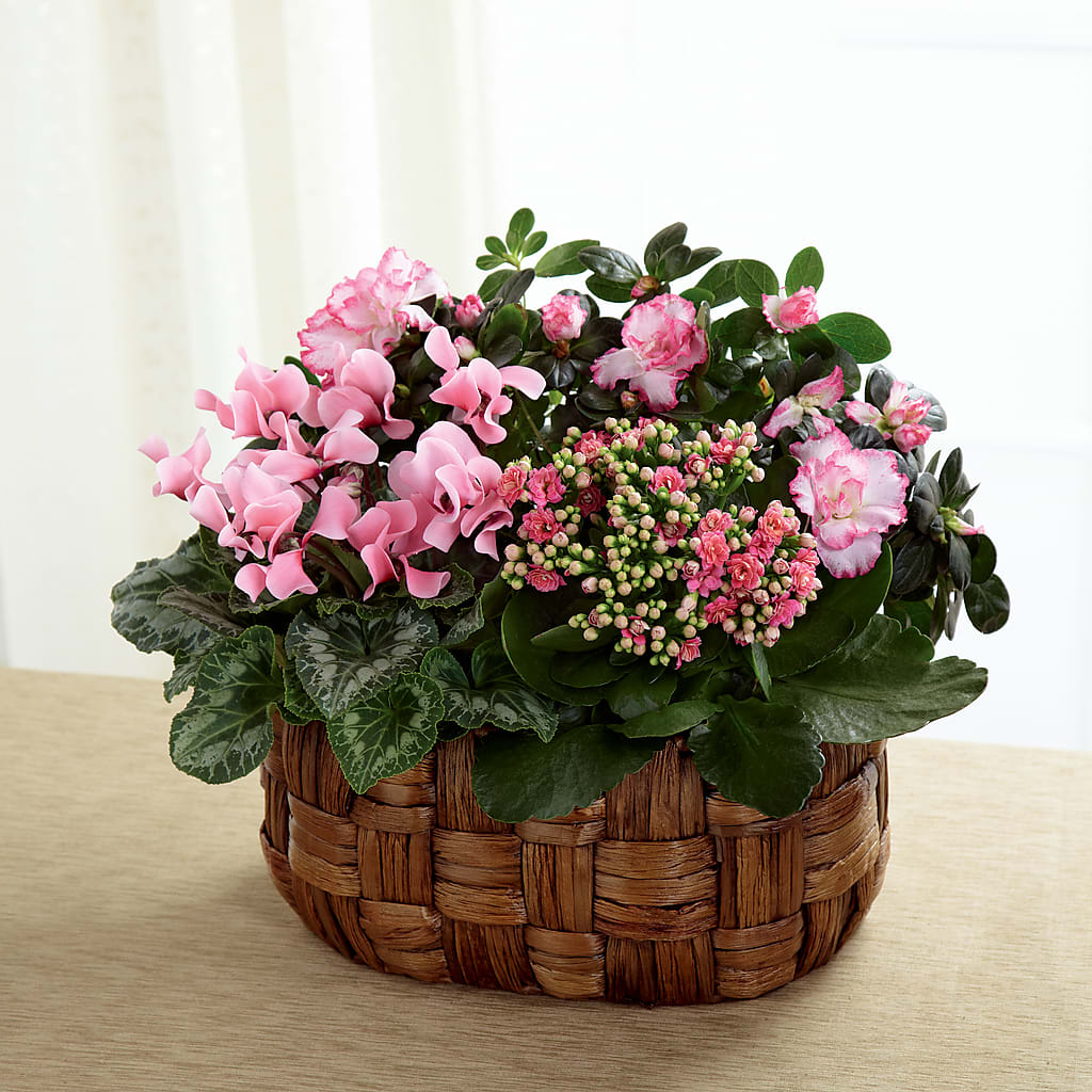 Pink Assortment –  Joyce Florist Of Dallas Inc, Dallas TX