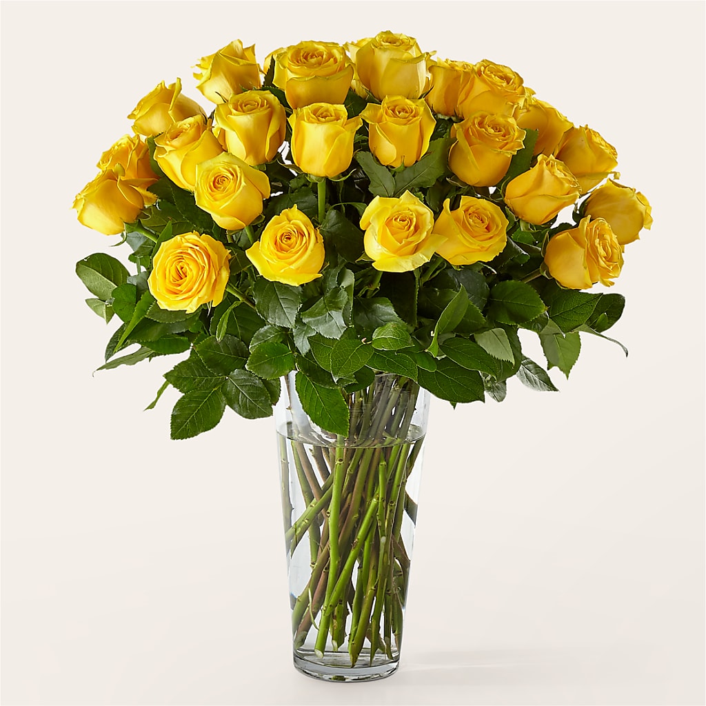 Long Stem Yellow Rose Bouquet –  Joyce Florist Of Dallas Inc, Dallas TX