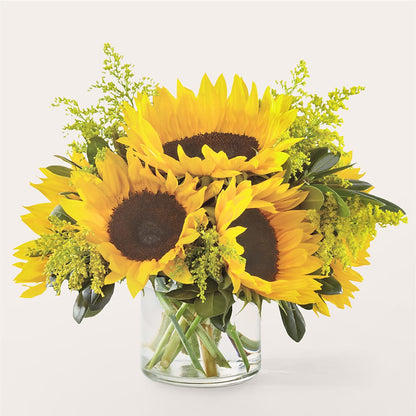 Beaming Sunflower Bouquet –  Joyce Florist Of Dallas Inc, Dallas TX