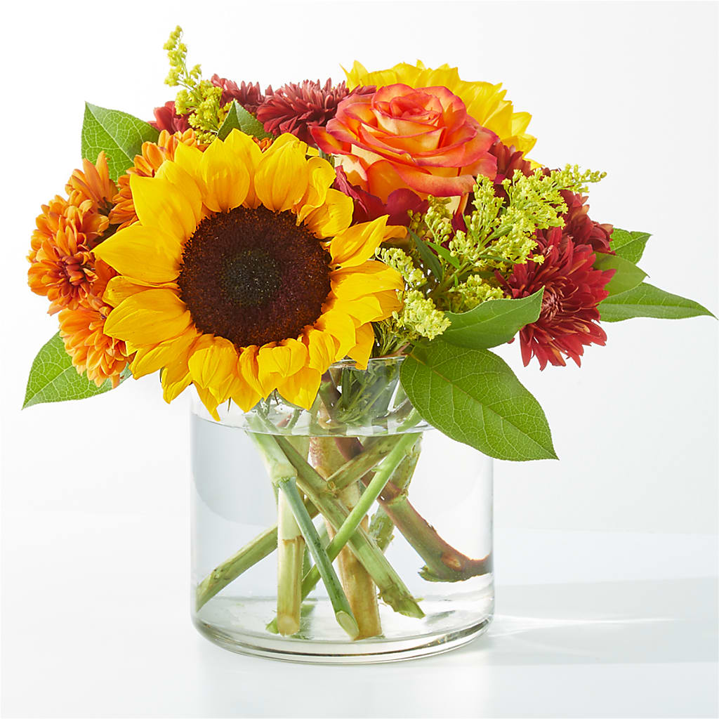 Flannel Scarf Bouquet –  Joyce Florist Of Dallas Inc, Dallas TX