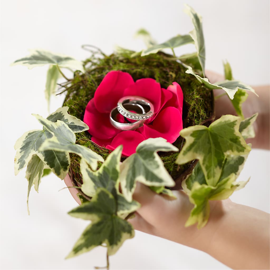Lila Rose Ring Nest –  Joyce Florist Of Dallas Inc, Dallas TX