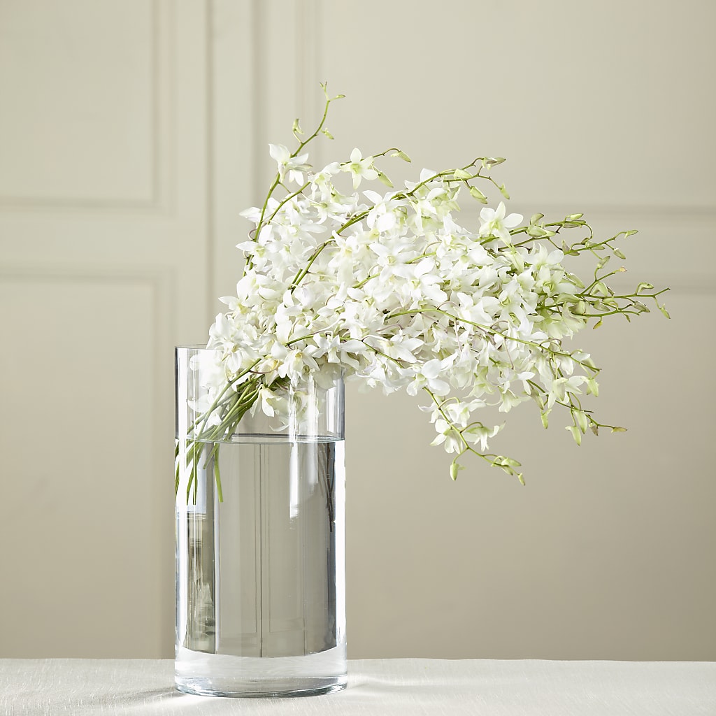 White Dendrobium Bouquet –  Joyce Florist Of Dallas Inc, Dallas TX